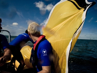 Kite Rescue