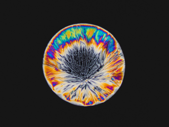 Scientific American Magazine<br> A Psychedelic May Soon Go to the FDA for Approval to Treat Trauma